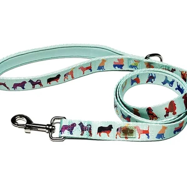 Dog Leash