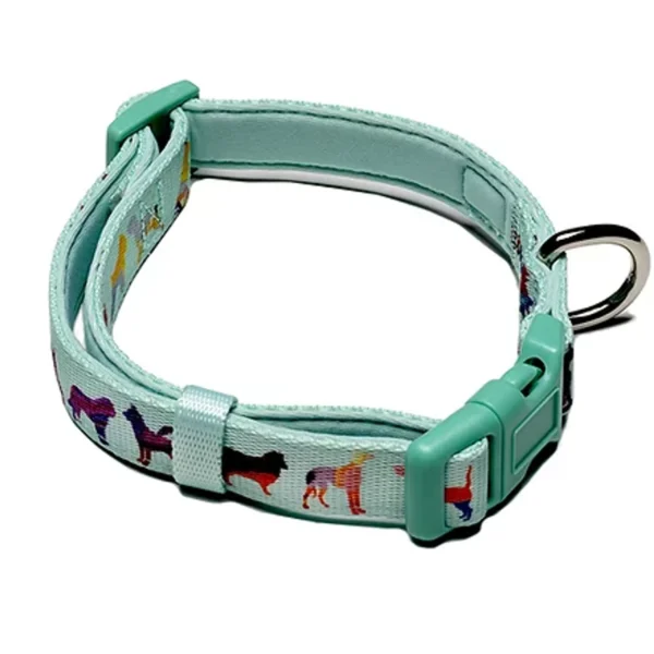 Dog Collar