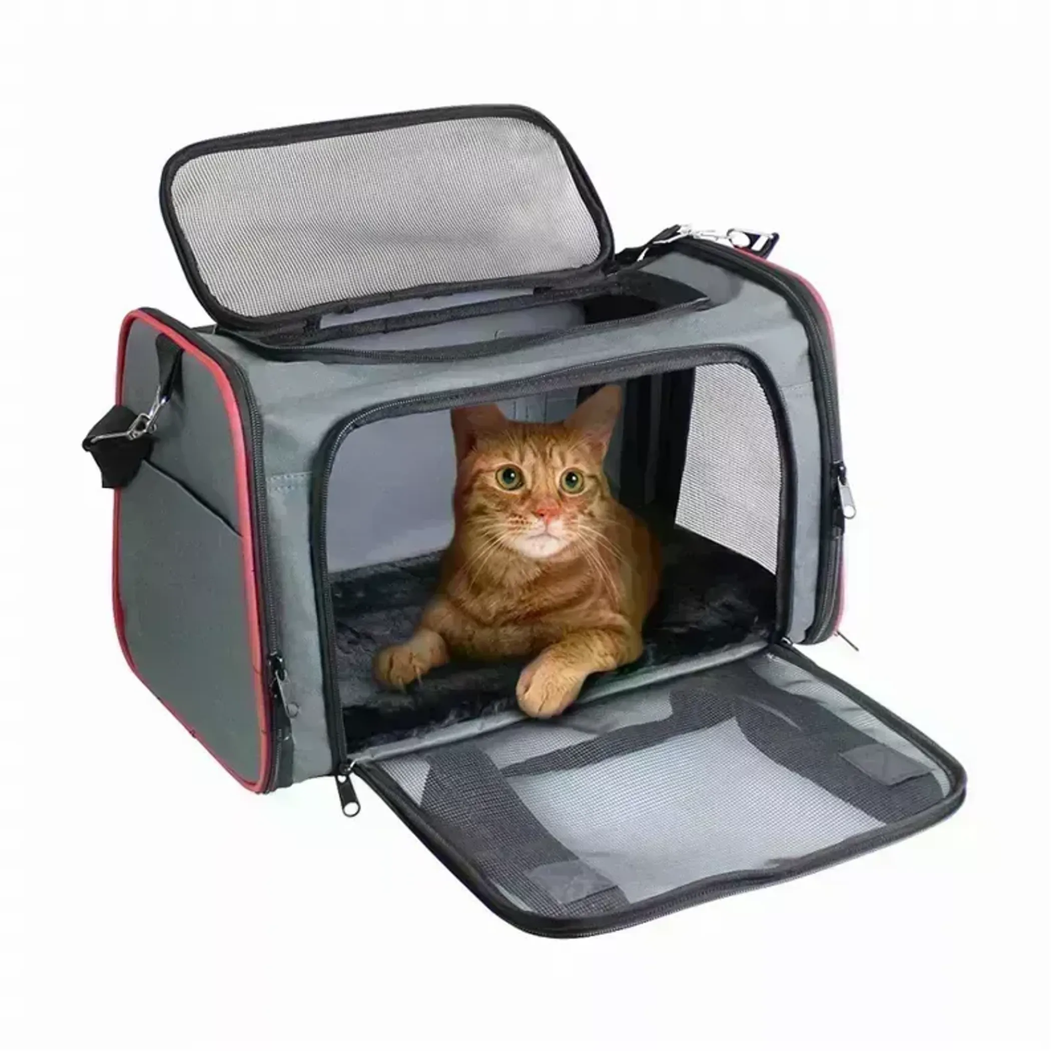 1305-32565445410.0.td_size_1-1 Collapsible Travel Dog Carrier - Image 1