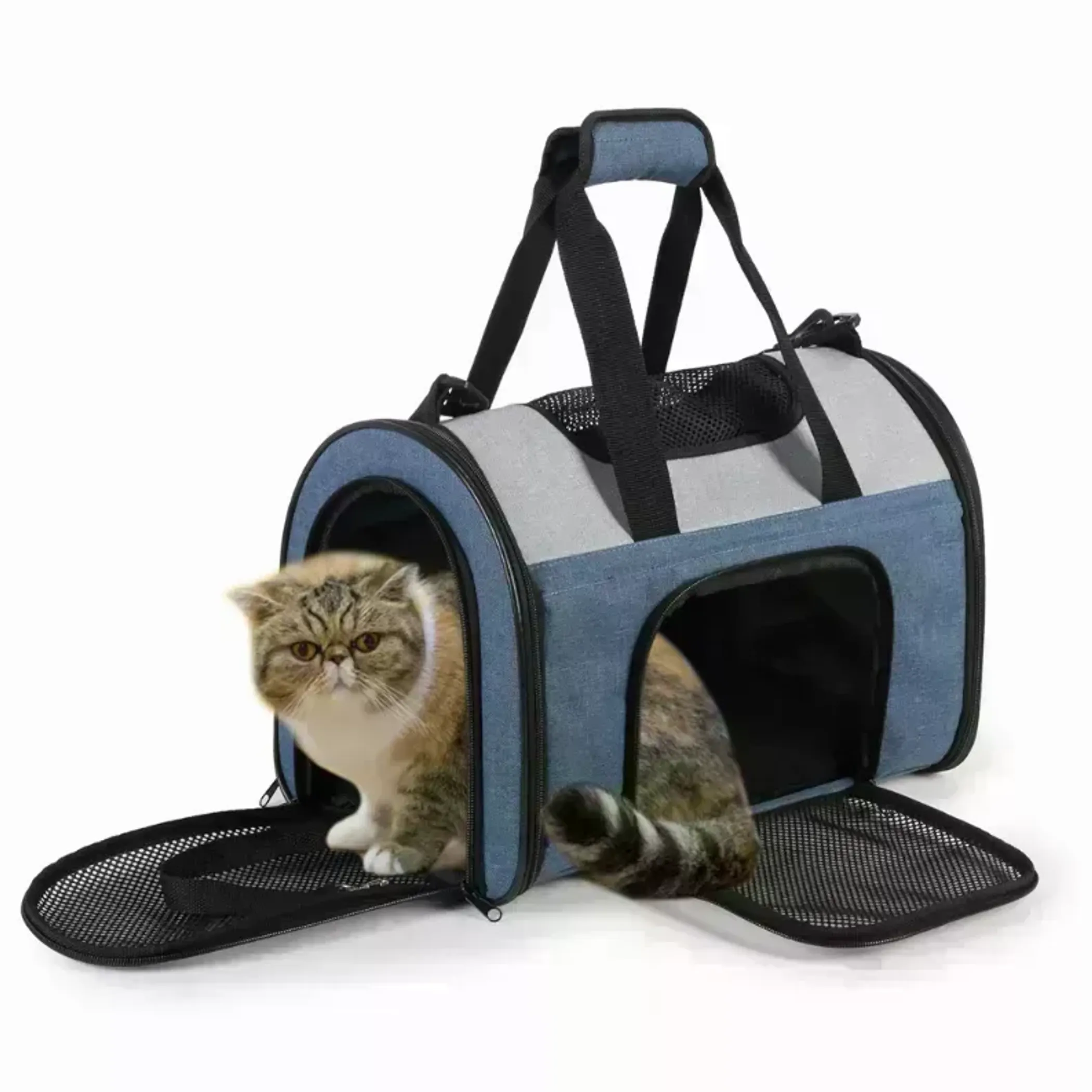 1305-32565445457.0.td_size_1-1 Airline-Approved Soft Dog Carrier - Image 1