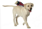 Pet Grooming Glove - Image 3