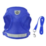 Mesh Harness & Leash Set
