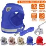 Mesh Harness & Leash Set - Image 4