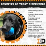 Dual-Chamber Treat Dispenser Toy - Image 3