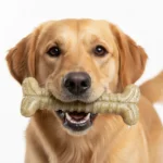 Ultra-Durable Dog Toy - Image 5